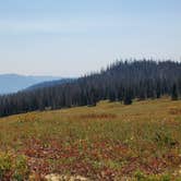 Review photo of Manti-LaSal National Forest Potters Pond Campground by Steven M., August 30, 2021