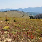 Review photo of Manti-LaSal National Forest Potters Pond Campground by Steven M., August 30, 2021