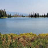 Review photo of Manti-LaSal National Forest Potters Pond Campground by Steven M., August 30, 2021