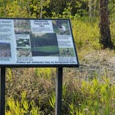 Review photo of Manti-LaSal National Forest Potters Pond Campground by Steven M., August 30, 2021