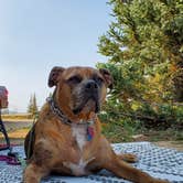 Review photo of Manti-LaSal National Forest Potters Pond Campground by Steven M., August 30, 2021