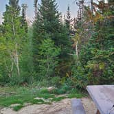 Review photo of Manti-LaSal National Forest Potters Pond Campground by Steven M., August 30, 2021