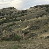 Review photo of Cottonwood Campground — Theodore Roosevelt National Park by Nancy B., August 30, 2021