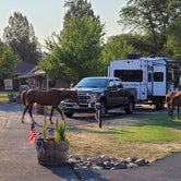 Review photo of Blue Heron RV Park by Mike , August 30, 2021