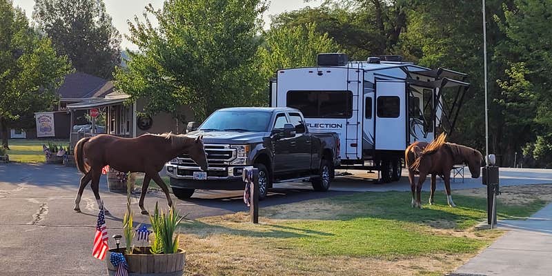 Camper submitted image from Blue Heron RV Park