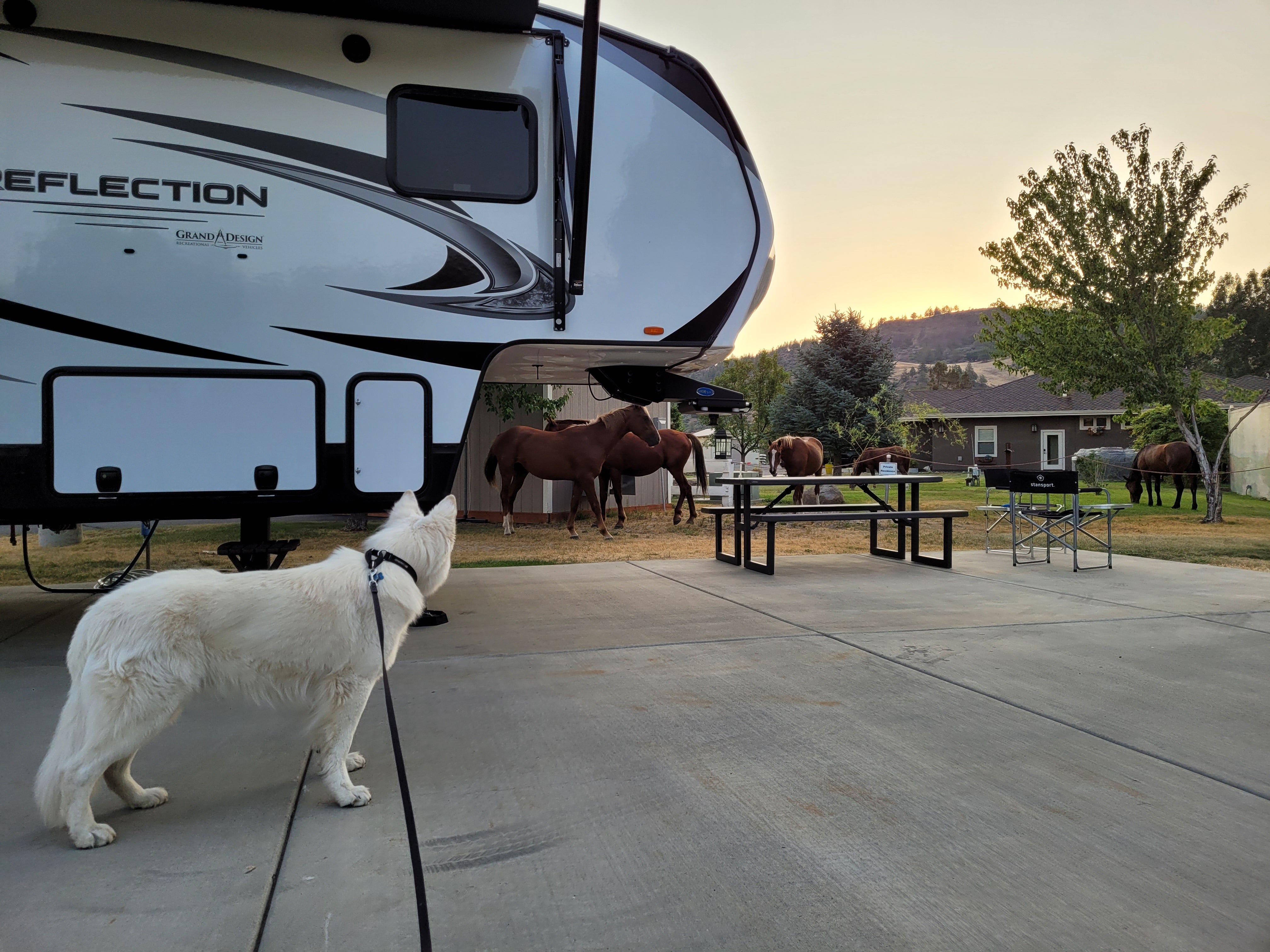 Camper submitted image from Blue Heron RV Park - 4