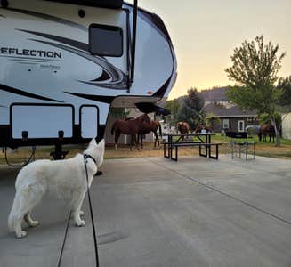 Camper-submitted photo from Blue Heron RV Park