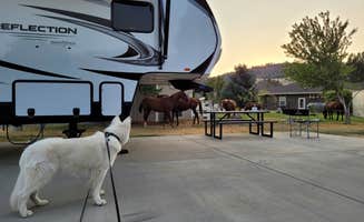 Mike's photo of camping with pets at Lazy Horse RV Park near Dorris, CA