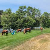 Review photo of Blue Heron RV Park by Mike , August 30, 2021