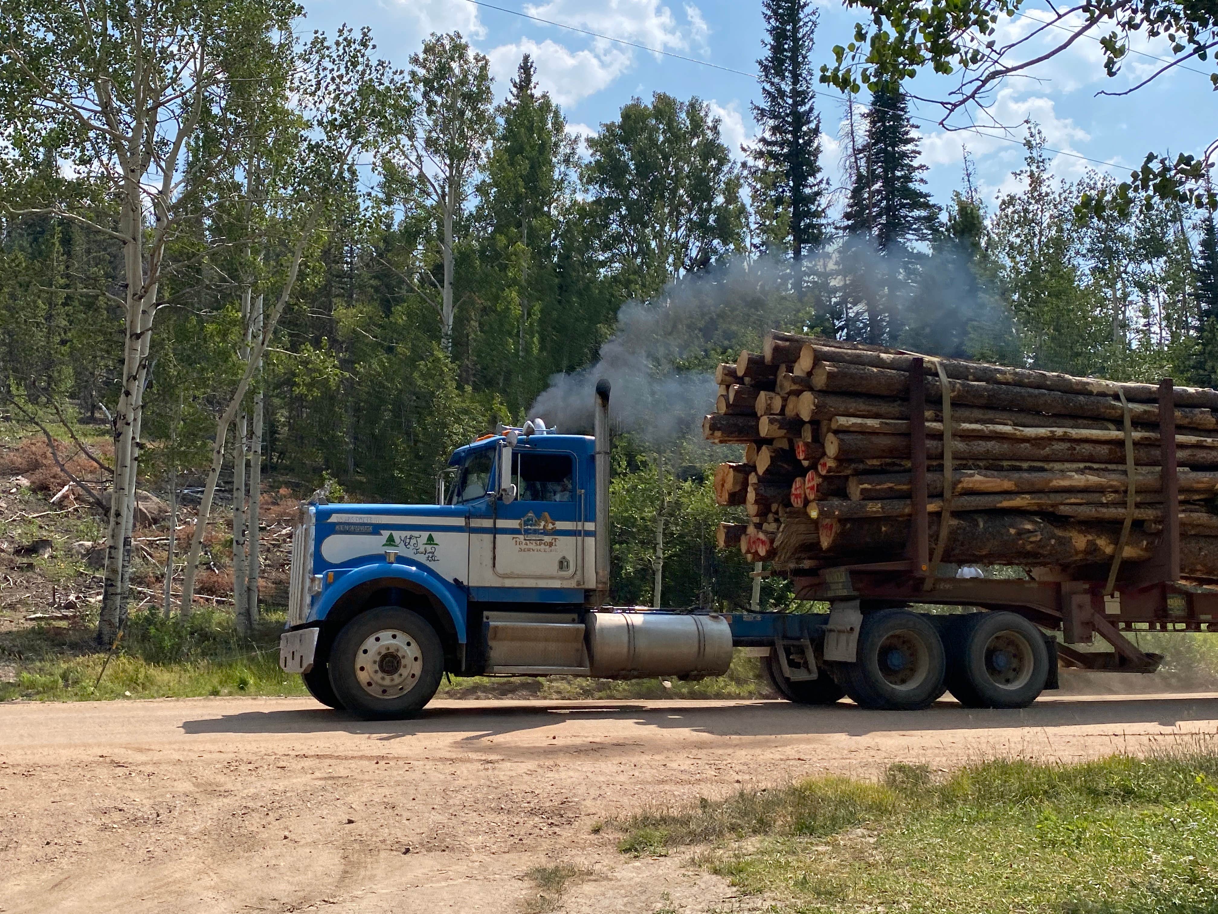 Camper submitted image from Arapaho and Roosevelt National Forest Dispersed Camping - 2