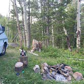 Review photo of Arapaho and Roosevelt National Forest Dispersed Camping by Kim A., August 30, 2021