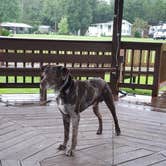 Review photo of Sunset King RV Resort by Brandi M., August 30, 2021