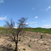 Review photo of Rolling M. Ranch Campground — Chino Hills State Park by Alisa B., August 30, 2021