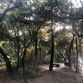 Review photo of Henry Cowell Redwoods State Park Campground by Debbie M., August 30, 2021