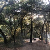 Review photo of Henry Cowell Redwoods State Park Campground by Debbie M., August 30, 2021