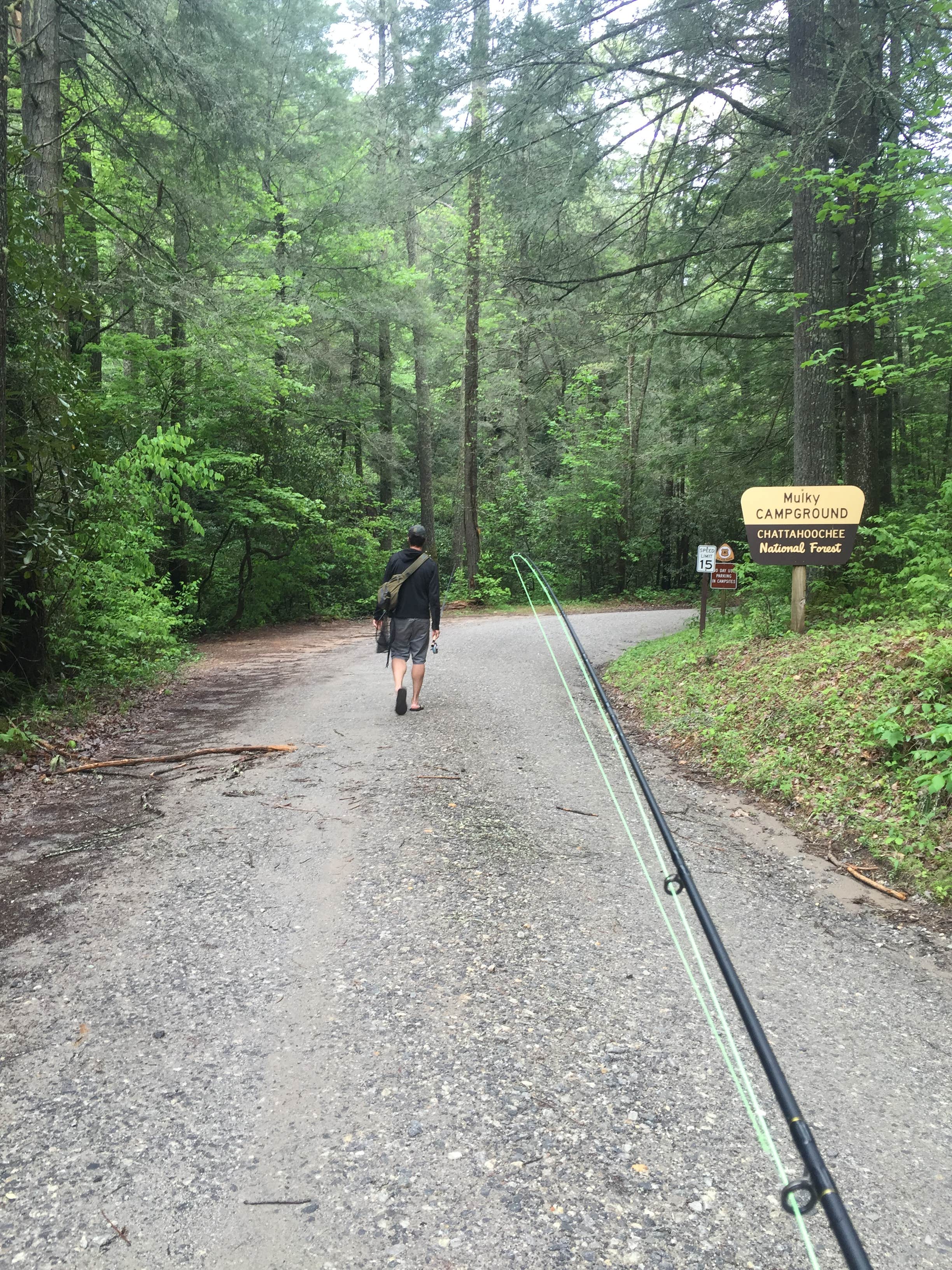 Camper submitted image from Mulky Campground - 3