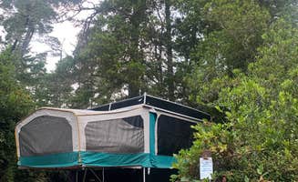 Alisa B.'s photo at Eel Creek Campground near Scottsburg, OR