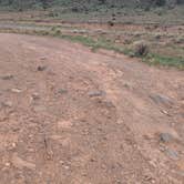 Review photo of Capitol Reef National Park Dispersed Camping by Greg L., August 30, 2021