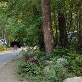 Review photo of Glacier Campground by Nancy C., August 30, 2021