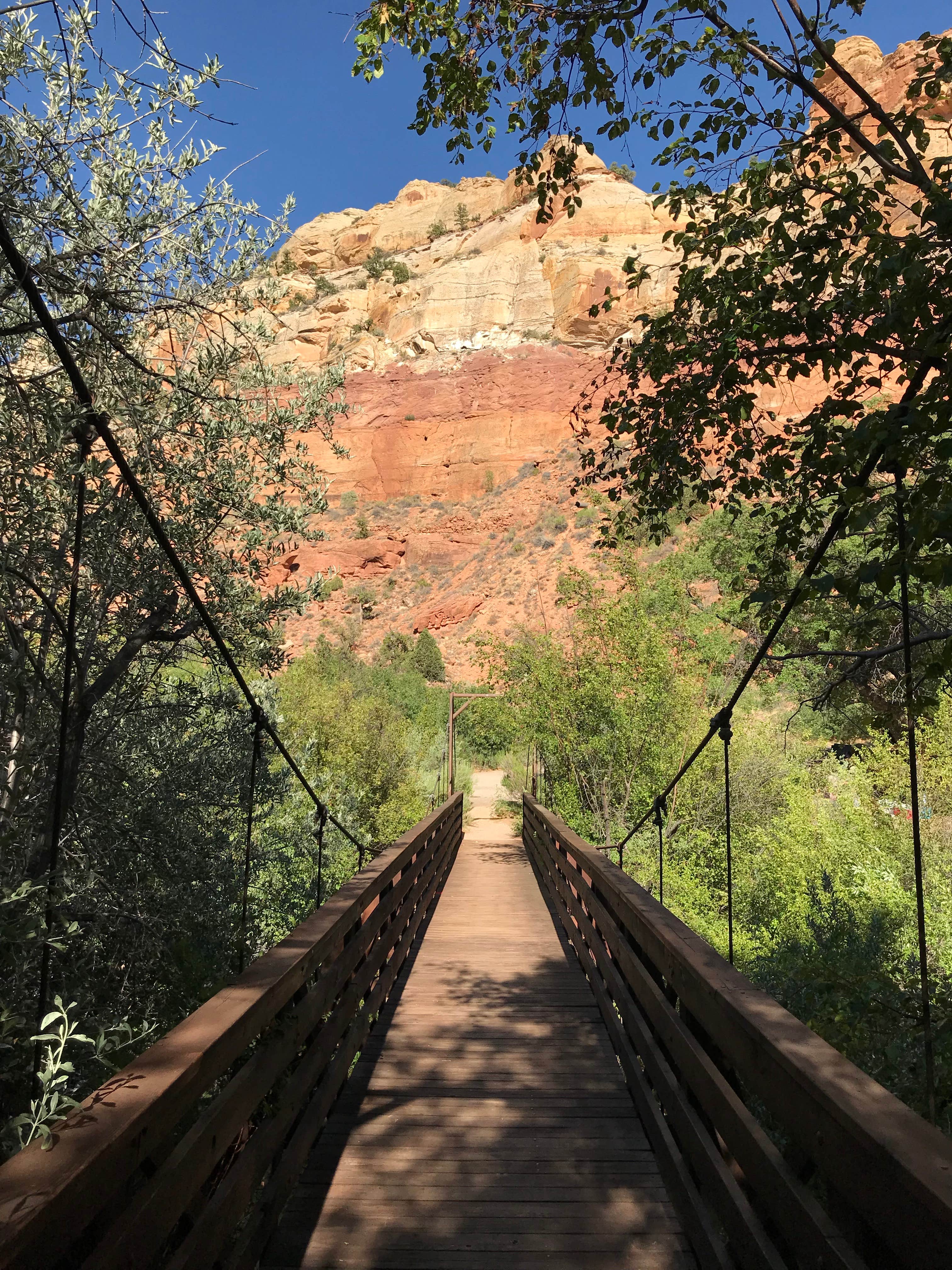 Camper submitted image from Calf Creek Campground - 2