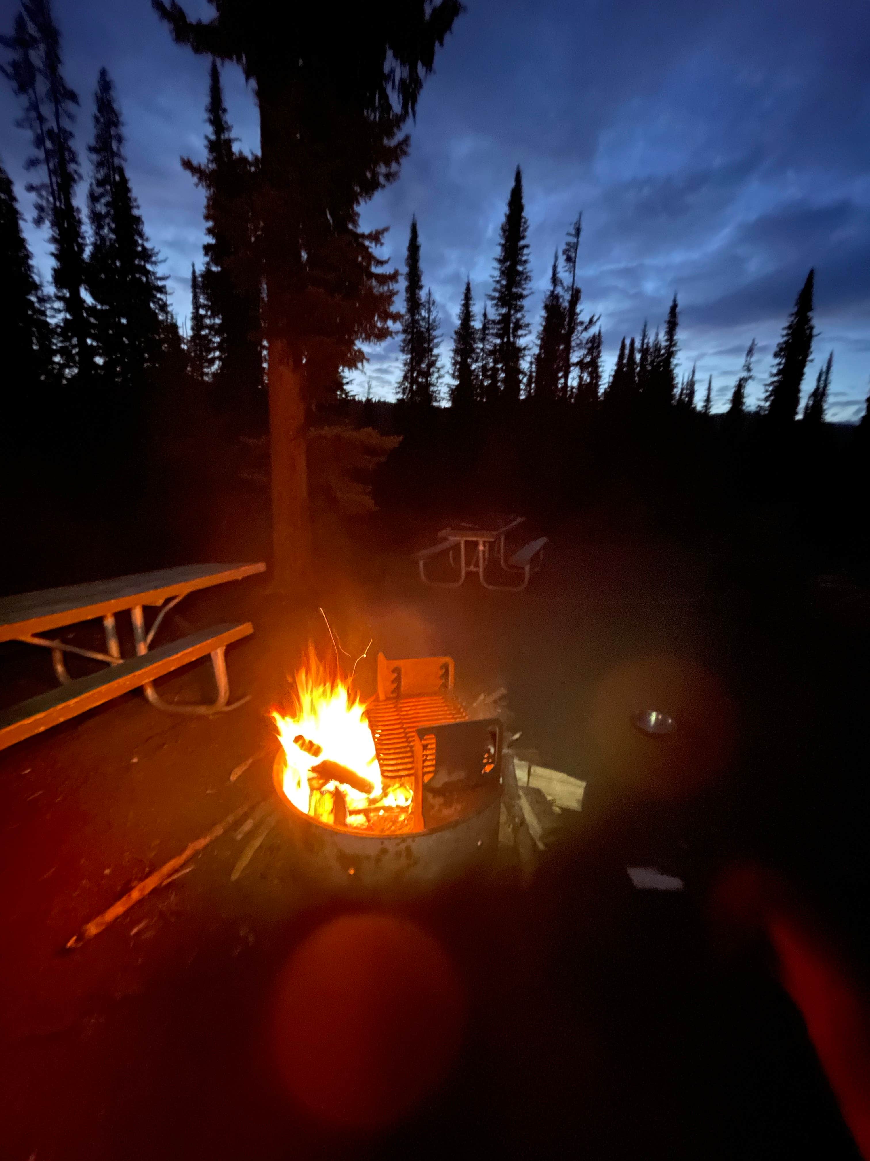 Camper submitted image from Grouse Campground - 5
