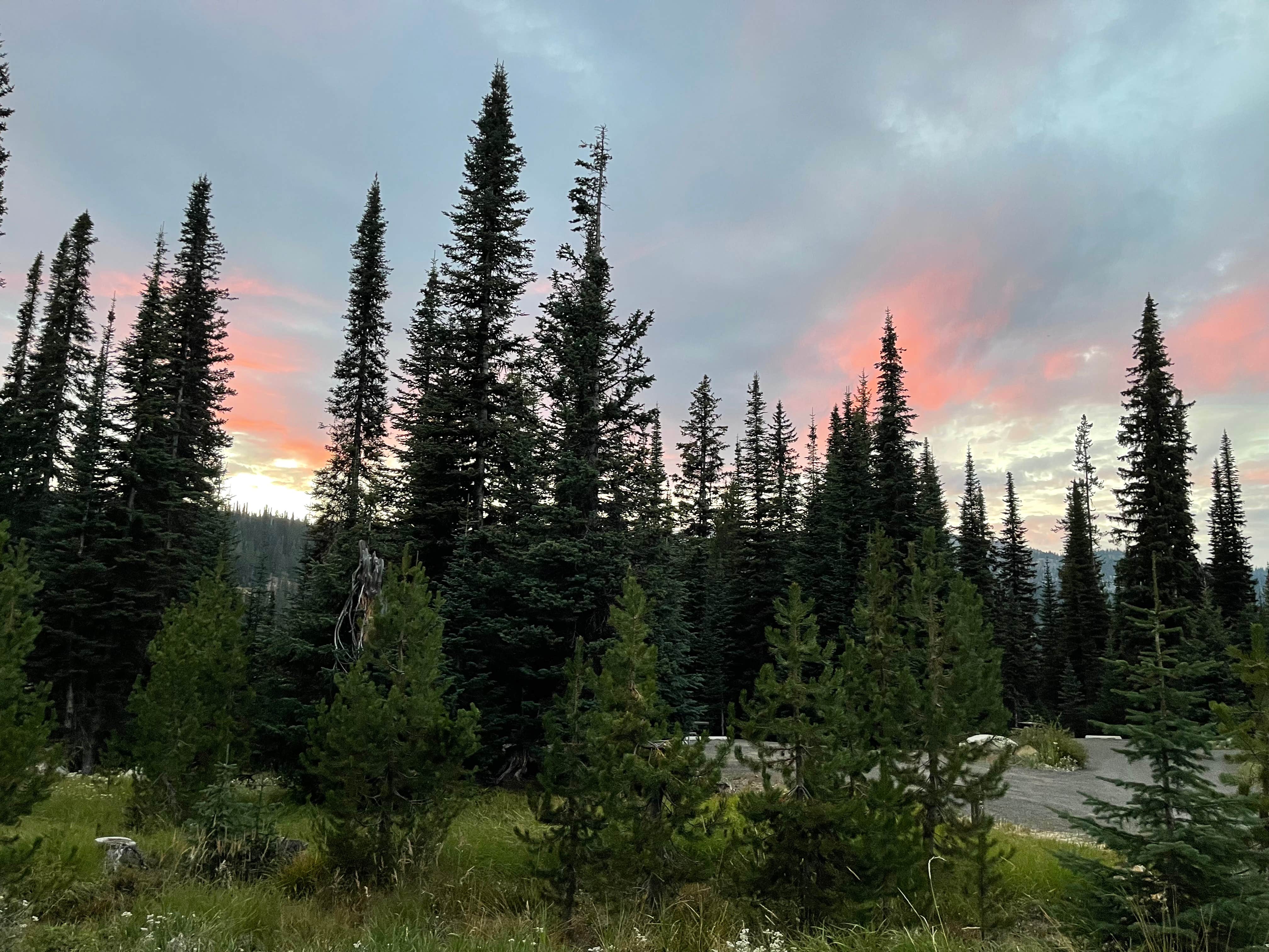 Payette National Forest