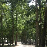 Review photo of Thousand Trails Sea Pines by Cynthia H., June 21, 2018