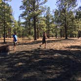 Review photo of Bonito Campground — Sunset Crater National Monument by Kimberly A., June 21, 2018