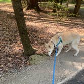 Review photo of Cook Forest State Park Campground by Beth & Kent  S., August 31, 2021