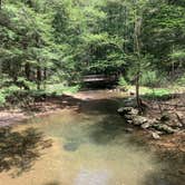 Review photo of Cook Forest State Park Campground by Beth & Kent  S., August 31, 2021