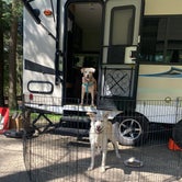 Review photo of Cook Forest State Park Campground by Beth & Kent  S., August 31, 2021