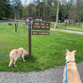 Review photo of Cook Forest State Park Campground by Beth & Kent  S., August 31, 2021