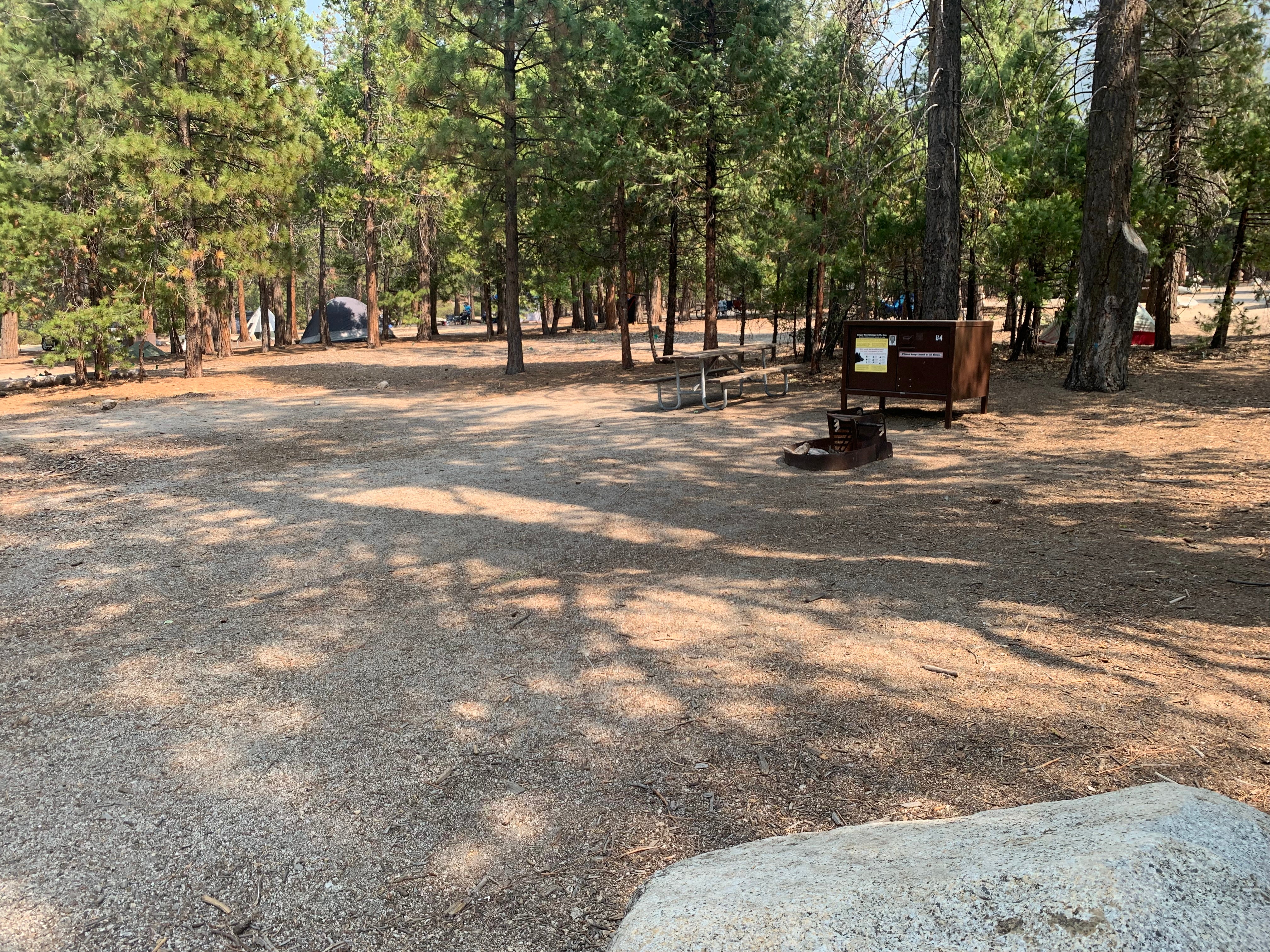 Camper submitted image from Moraine Campground — Kings Canyon National Park - 1