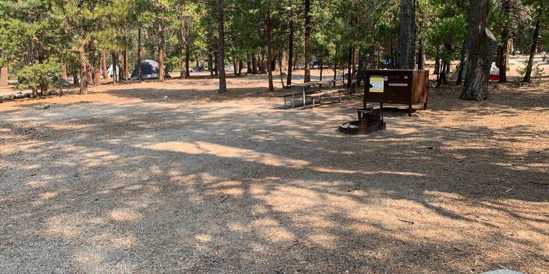 Camper submitted image from Moraine Campground — Kings Canyon National Park