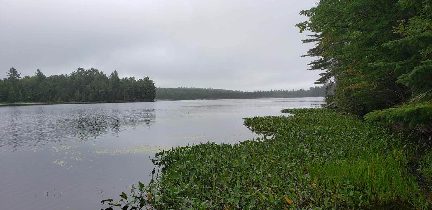 Camper-submitted photo at Seboeis Public Lands near Orono, ME