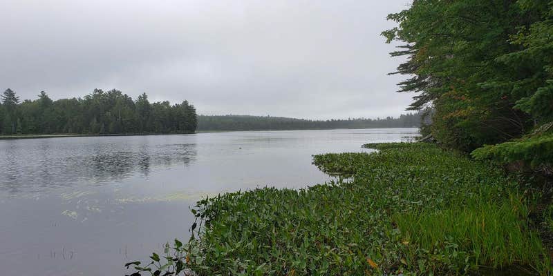 Camper submitted image from Seboeis Public Lands