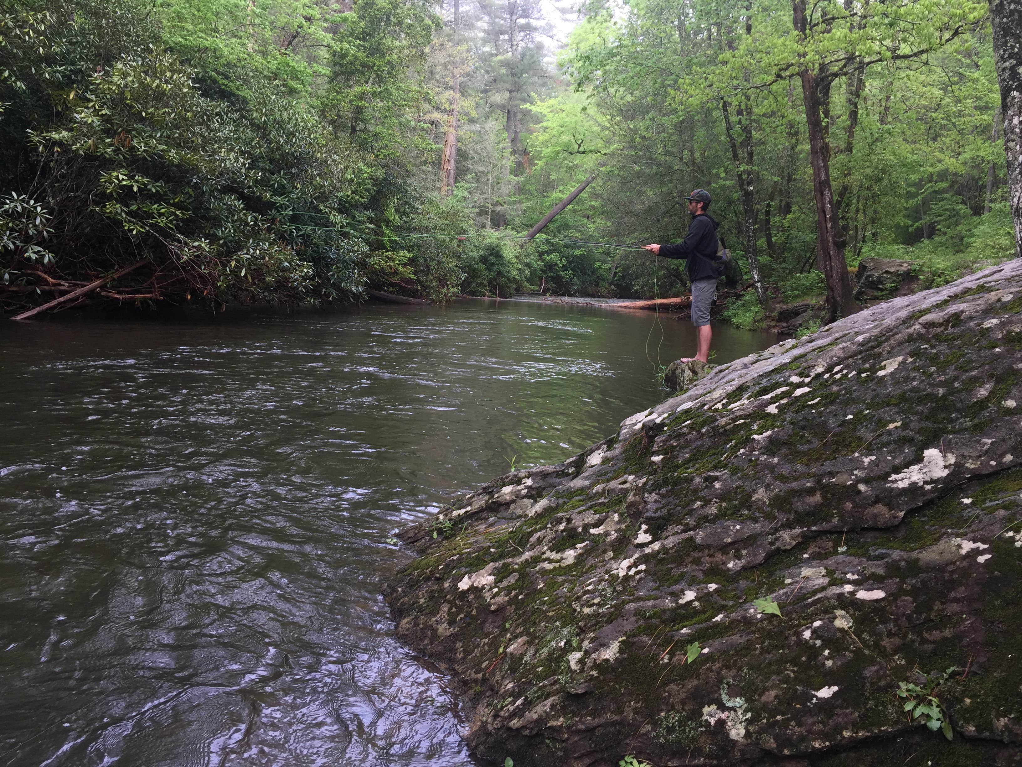 Camper submitted image from Mulky Campground - 2