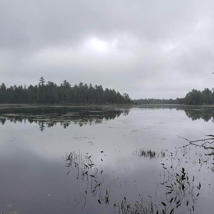 Escape to the Wild: Your Guide to Maine's Seboeis Public Reserved Land