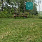 Review photo of Arndt's Aroostook River Lodge & Campground by Jean C., August 31, 2021