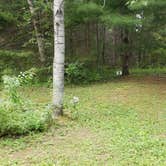 Review photo of Arndt's Aroostook River Lodge & Campground by Jean C., August 31, 2021