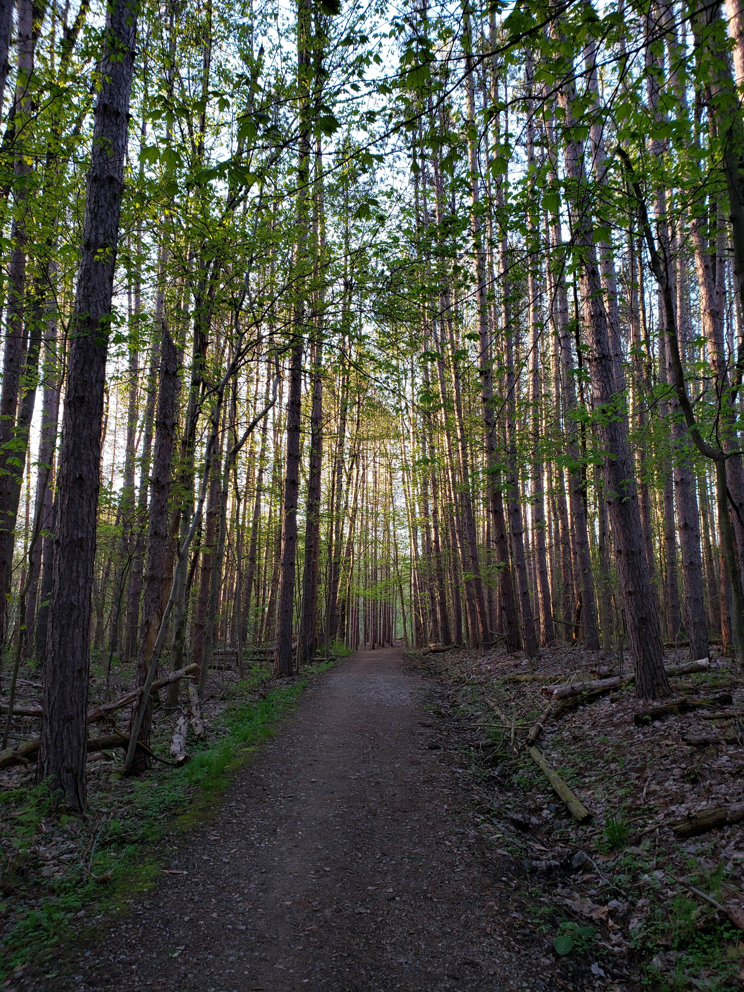 Camper-submitted photo at The West Woods near Wadsworth, OH