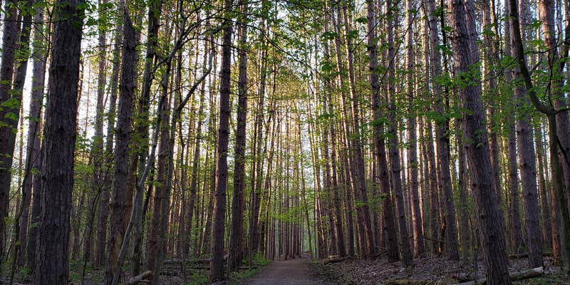 Camper submitted image from The West Woods