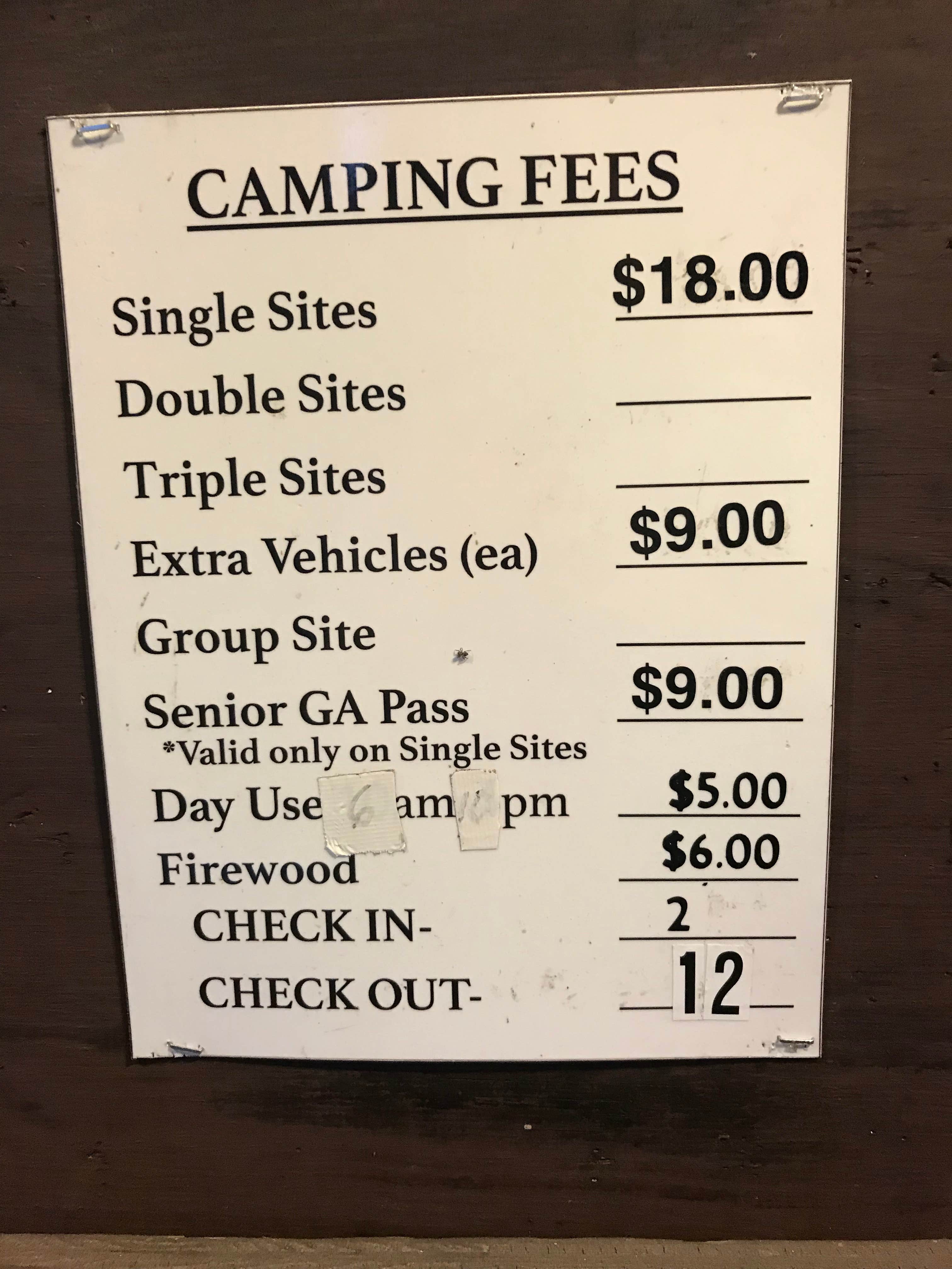 Camper submitted image from Pioneer Park - 4