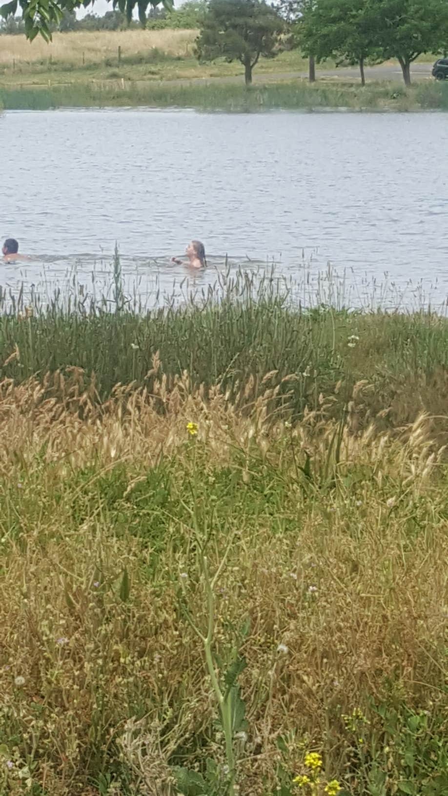 Woodward Reservoir Camping Oakdale, CA