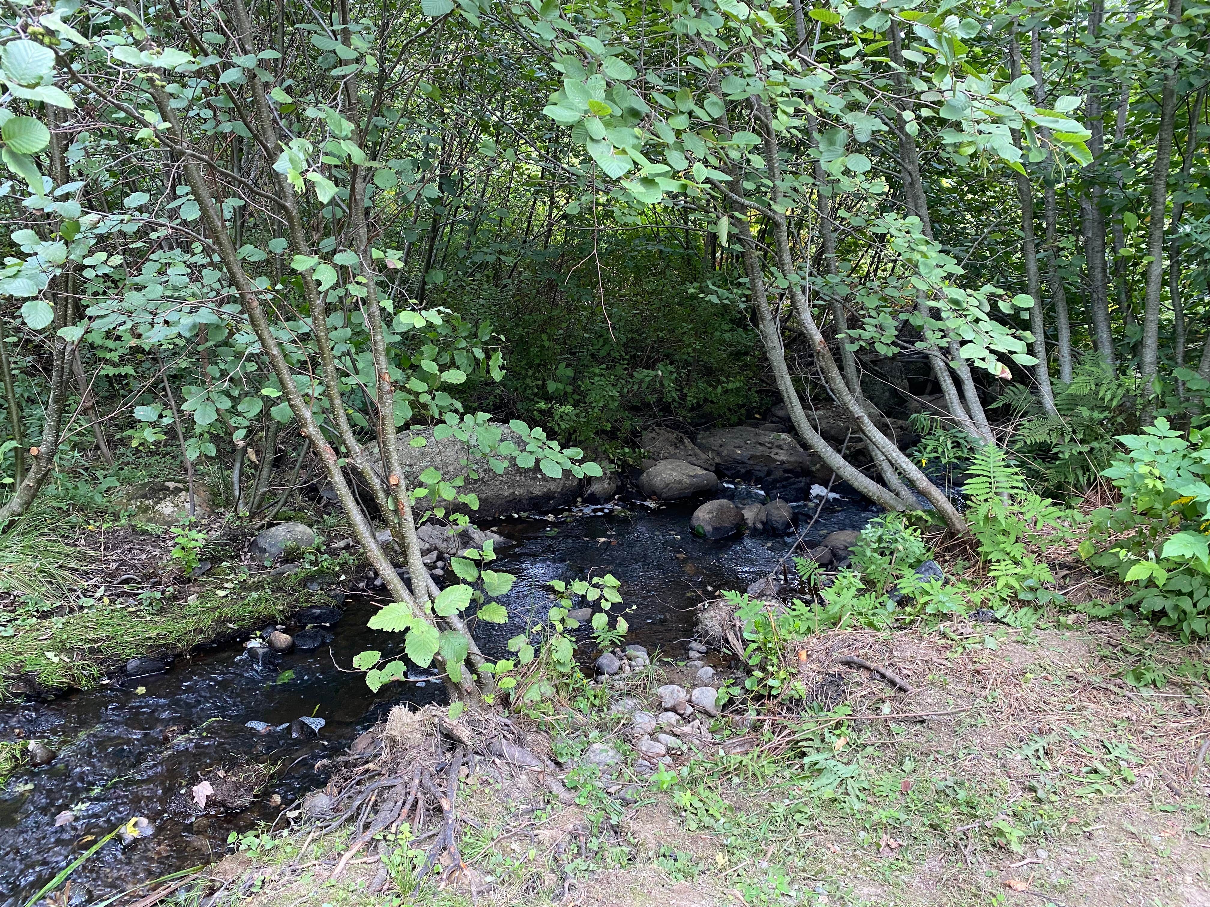 Camping near Mt Desert Narrows Camping Resort: Rough and Raw, Lamoine, Maine
