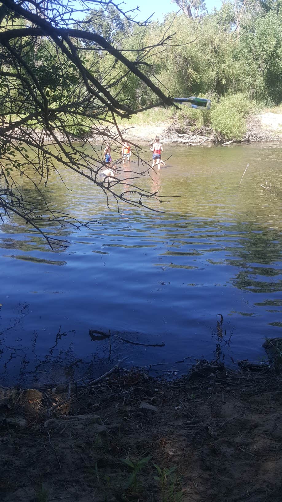 Camper-submitted photo at George J. Hatfield State Recreation Area Group Camp near Gustine, CA