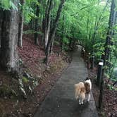 Review photo of COE Philpott Lake Goose Point Park by Timothy W., June 21, 2018