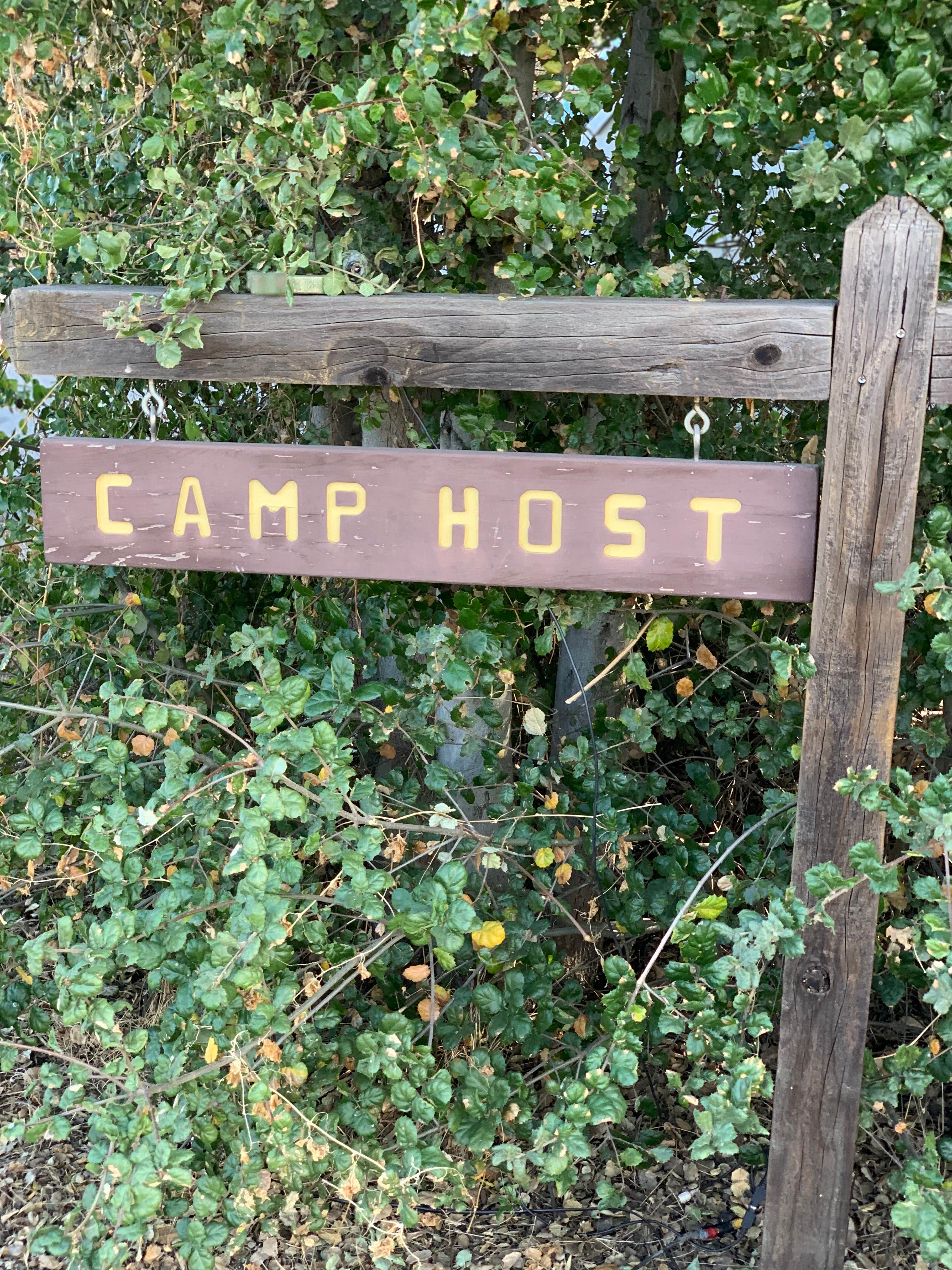 Camper submitted image from Oak Grove Campground - 5