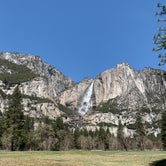 Review photo of Upper Pines Campground — Yosemite National Park by Alisa B., August 31, 2021