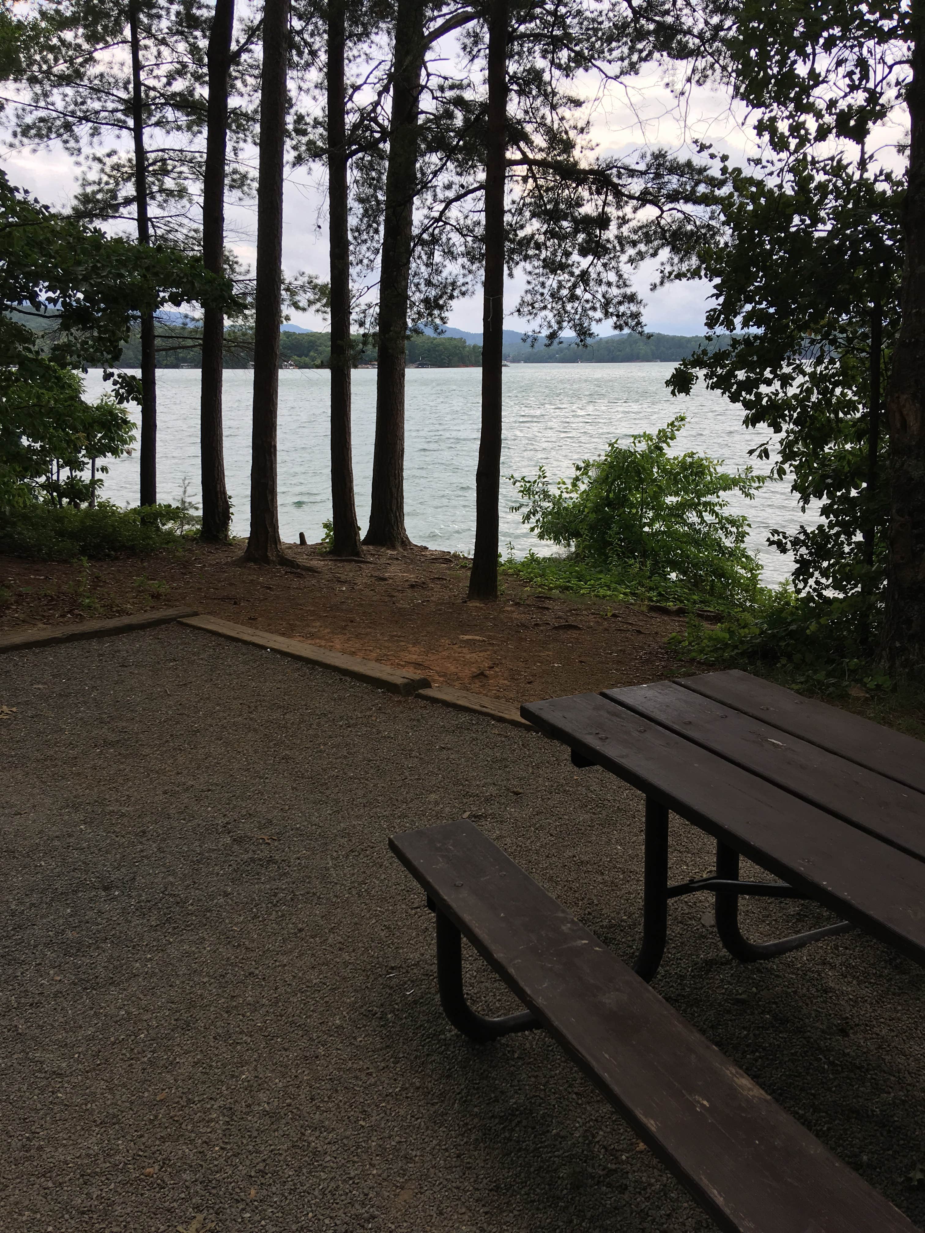 Escape to the Enchanting Shores of Morganton Point Campground: Your Georgia Getaway Awaits!